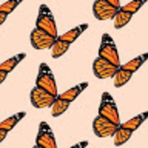 Meet your Posher, Ayanna